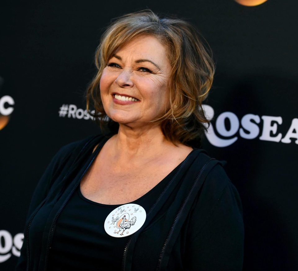  Roseanne Barr is a comedian and actor whose show was sacked over a racism row