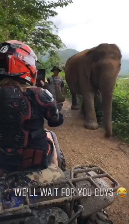  Elephants popped over to join in as Chris and Sam slow down on their quads