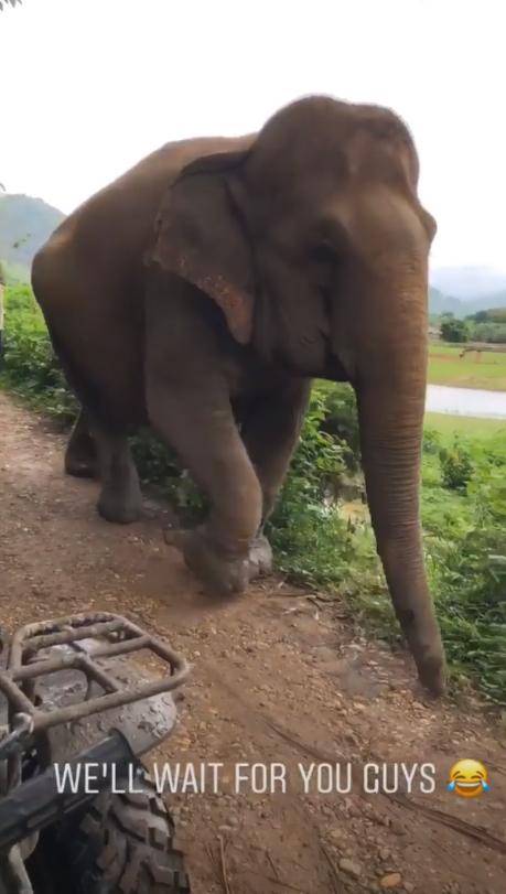  Chris and Sam were happy to let two elephants join in the adventure