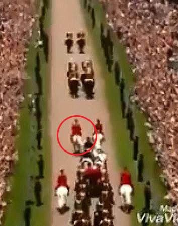  A Queen's Guard horse leading the wedding procession shimmied off-road as it walked up the Long Walk