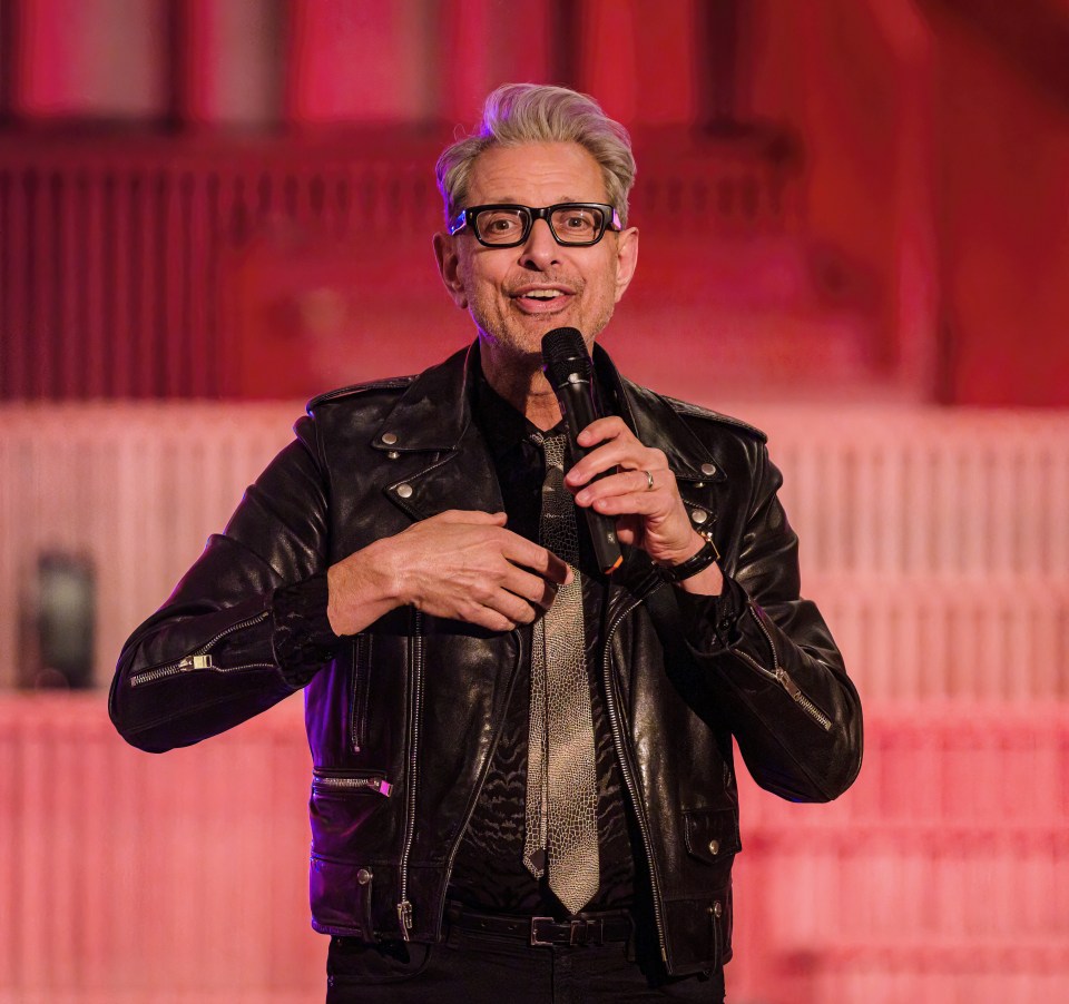  Jeff Goldblum is a popular Hollywood star known for his blockbuster films