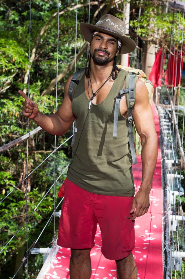  Haye swapped the ring for the jungle in 2012, finishing third in I'm A Celebrity