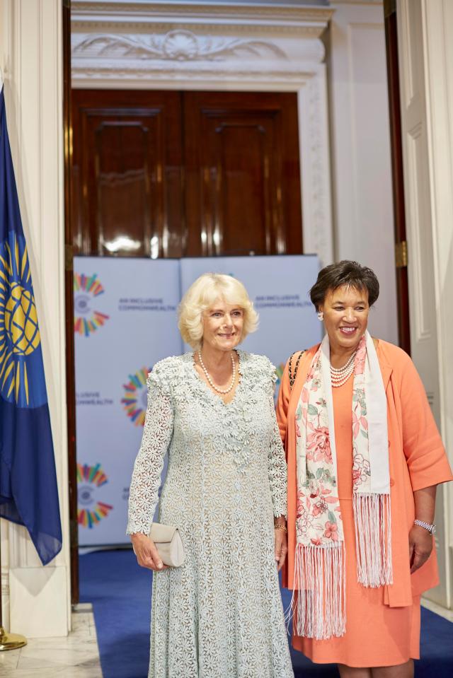  He is the son of top politician Baroness Scotland, here with the Duchess of Cornwall