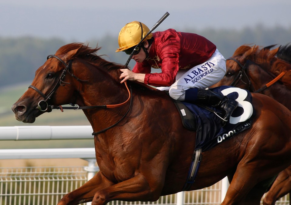 Lightning Spear was just touched off by Rhododendron in the Lockinge