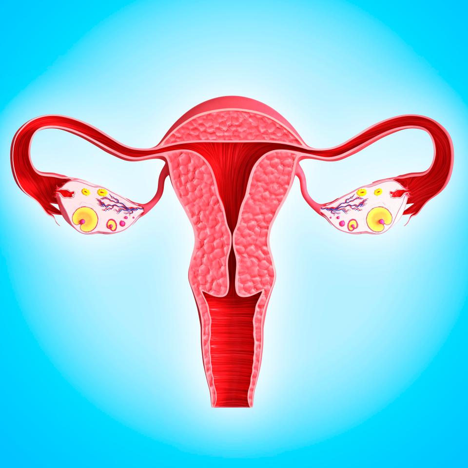  Prostaglandins, the chemicals that give you cramps to shed the lining of your uterus, can also have the same effect on your bowel