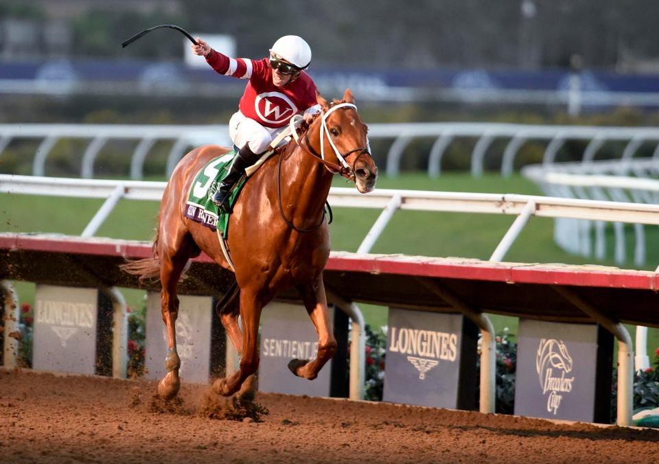  Gun Runner won last year's Breeders' Cup Classic at Del Mar in November