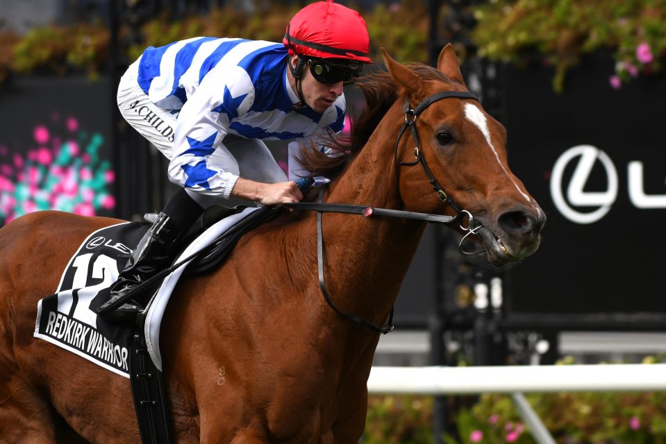  Redkirk Warrior has been transformed into a top-class sprinter in Australia