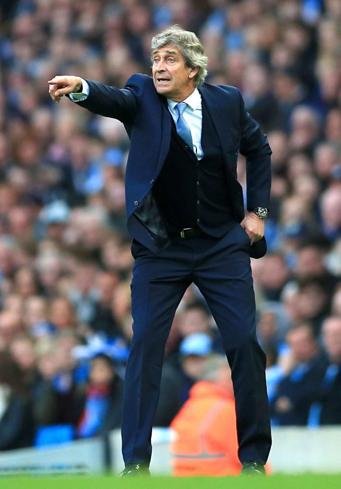  Manuel Pellegrini could tie up his first major deal since arriving as West Ham boss