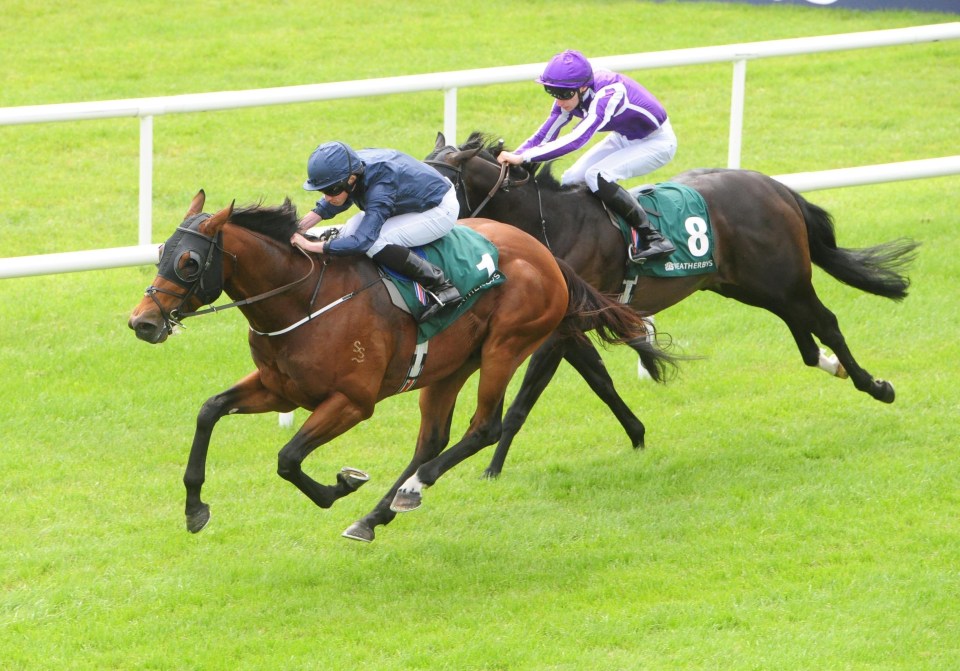 Merchant Navy made a winning start for Aidan O’Brien