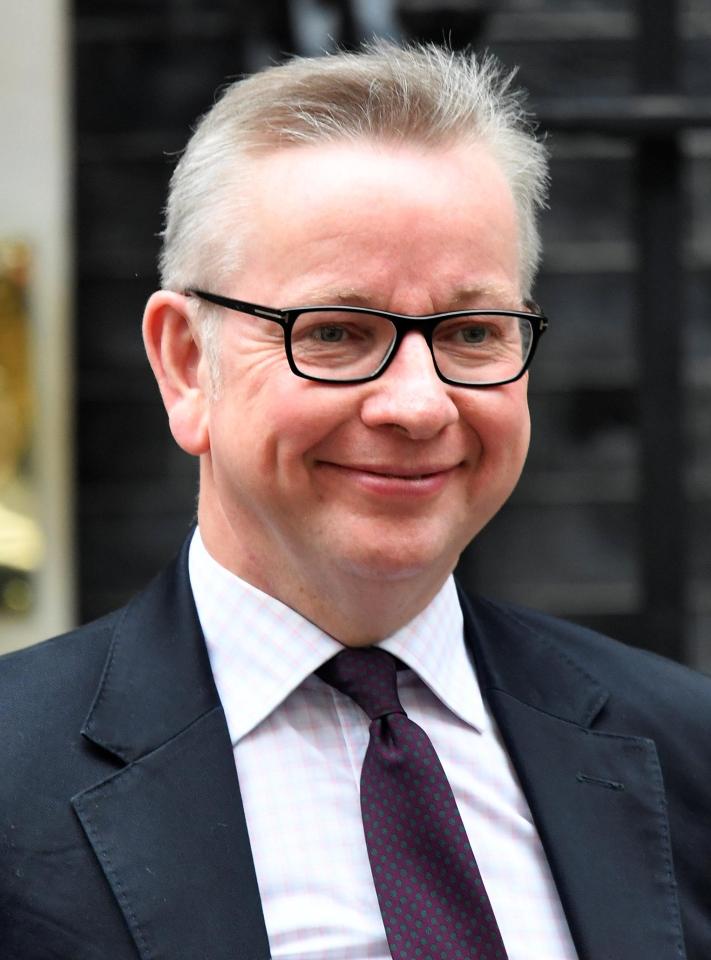  The new system is the brainchild of former Education Secretary Michael Gove