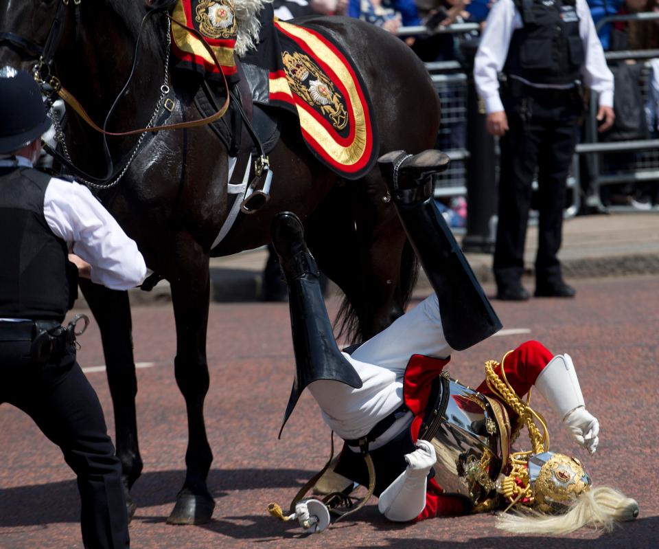  Aides said the Colonel of the Life Guards was being 'well looked after'