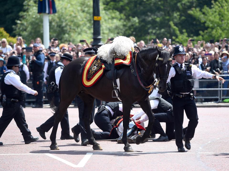  Lord Guthrie, former Chief of Defence Staff, 79, after he fell off his horse in front of Buckingham Palace following the Trooping the Colour ceremony