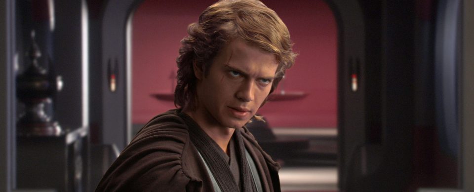 Hayden masterfully portrayed Anakin Skywalkers descent to the Dark Side.