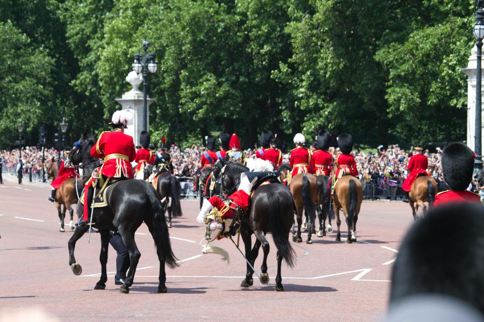  Lord Guthrie appeared to faint before falling from his horse on The Mall