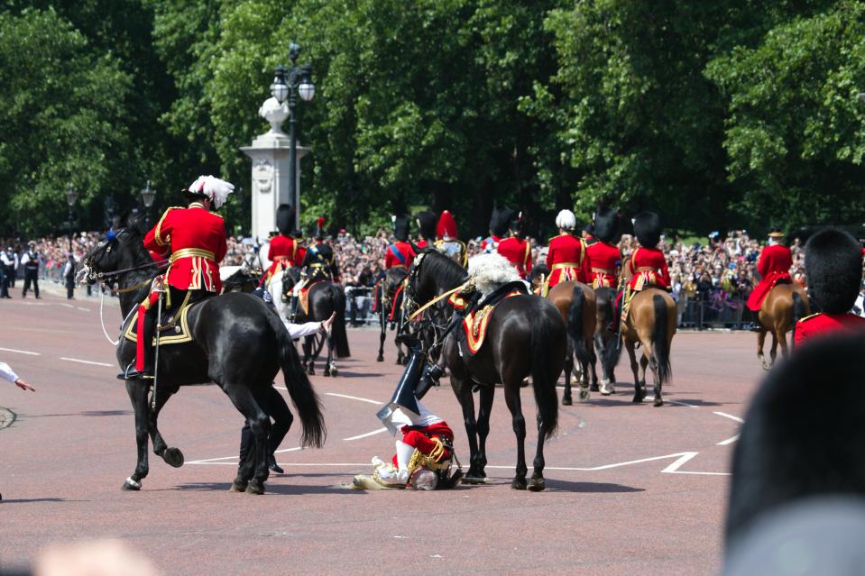  Lord Guthrie was riding with other senior military figures in the parade