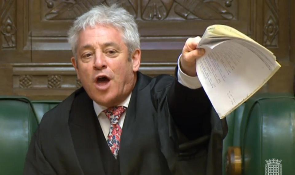  John Bercow was also criticised for having the same sticker on his car