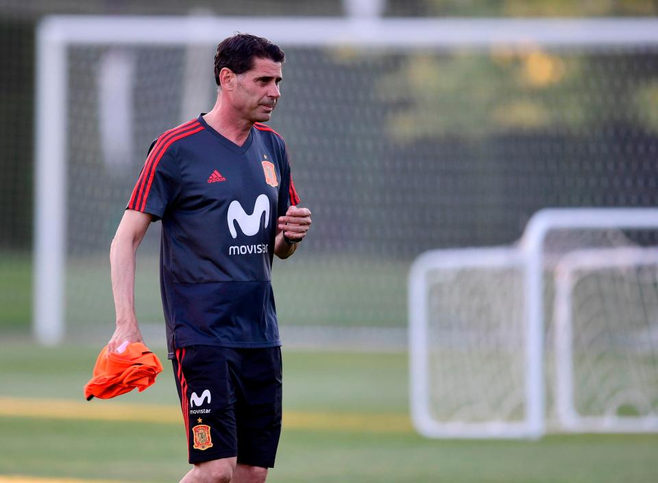  Fernando Hierro insists the dream is very much still on for Spain to challenge for top honours out in Russia