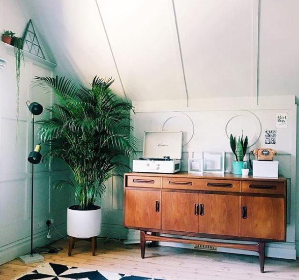  The house has cute, quirky touches like this vintage chest and cactus plant in Zoella's upstairs office