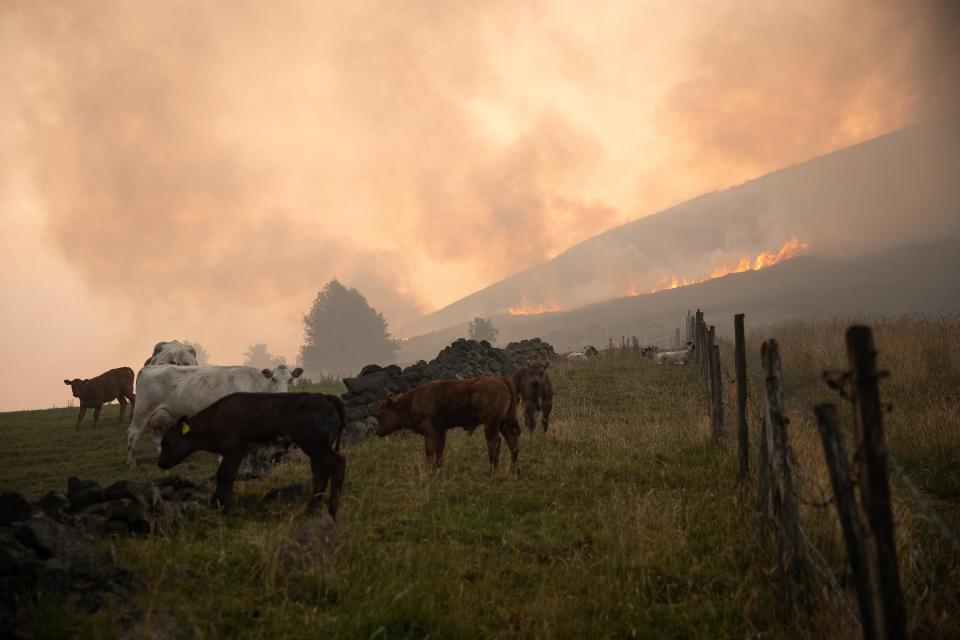 One local said: 'You can’t go outside, you can barely see'