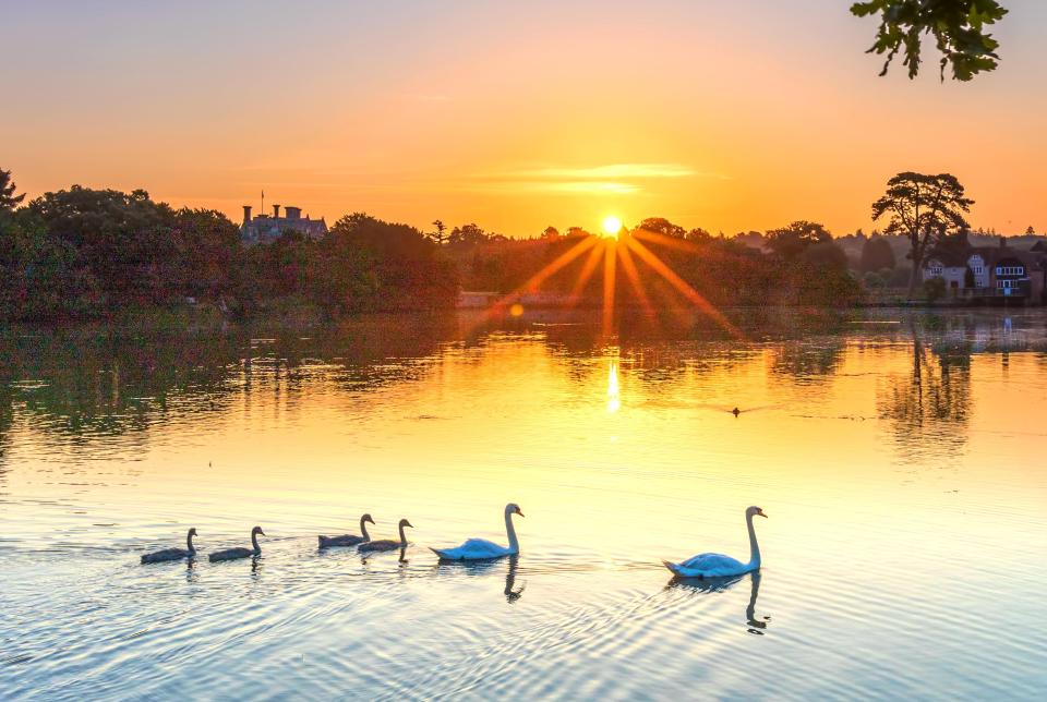  The sun rises over Beaulieu in the New Forest this morning, as temperatures are set to hit record highs for the fourth day in a row