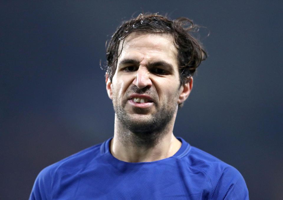  Cesc Fabregas has done it all with Spain... except make this year's World Cup squad