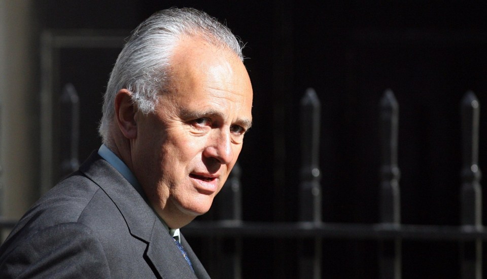 Desperate… Lord Malloch-Brown has tried to belittle Brexit