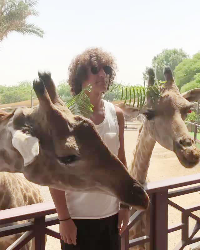  David Luiz has had his hair eaten by a giraffe in Dubai