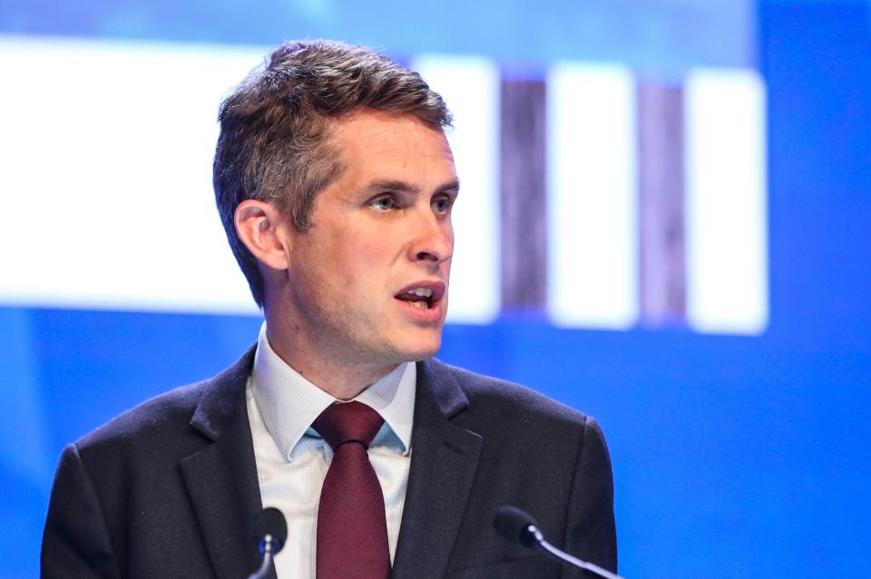  Defence Secretary Gavin Williamson has expressed 'grave concern' on the issue