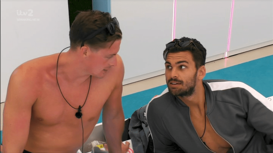  Love Island fans couldn't stop laughing after Adam Collard gave Alex George some advice on pulling during tonight's episode