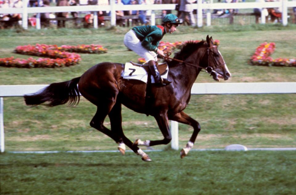  The great Shergar won the King George in 1981