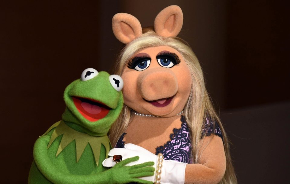  Kermit the Frog and Miss Piggy are preparing for their first UK live tour