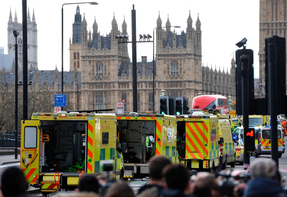 We had to work closely with military colleagues and passed on new information immediately, to help prepare doctors across the UK for another atrocity, like Westminster