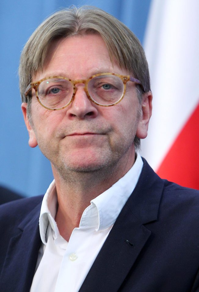  The MEP has also called for Guy Verhofstadt to sacked