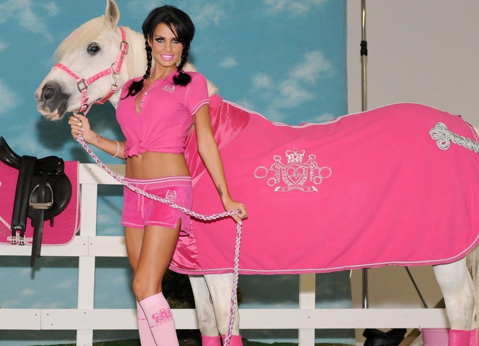 Katie Price wants to cash in on her animals to ease money woes