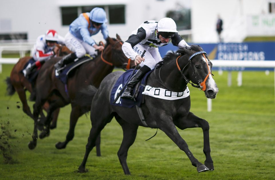  Tip Two Win was second in the 2000 Guineas at odds of 50-1