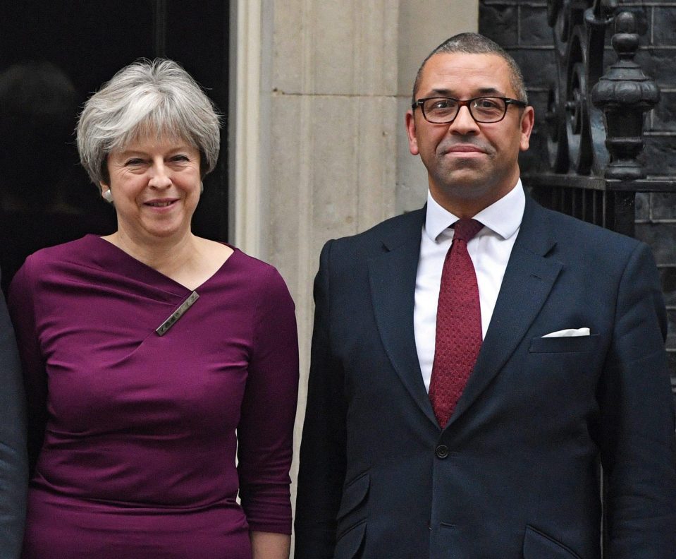  Tory deputy chairman James Cleverly also withdrew from the race