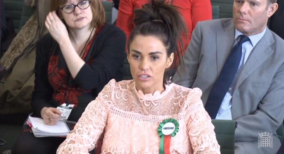  Katie appeared in parliament earlier this year to talk about online bullying