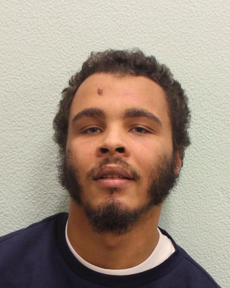  Jordan Bailey-Mascoll, who has a long criminal record dating back to his teens, was convicted of murder, possessing a firearm, possessing an imitation firearm and robbery