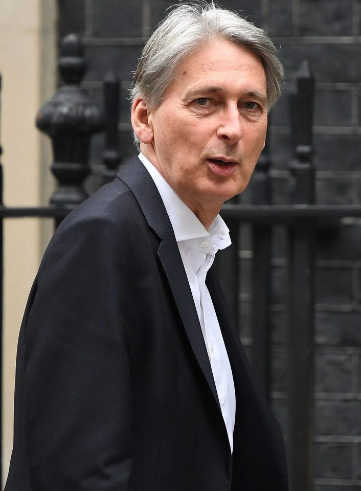  Philip Hammond claimed the departure of the two cabinet members will make negotiating easier