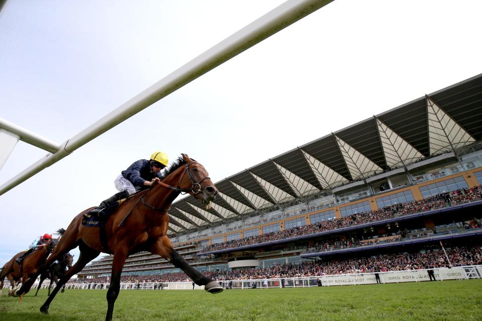  Crystal Ocean won easily at Royal Ascot