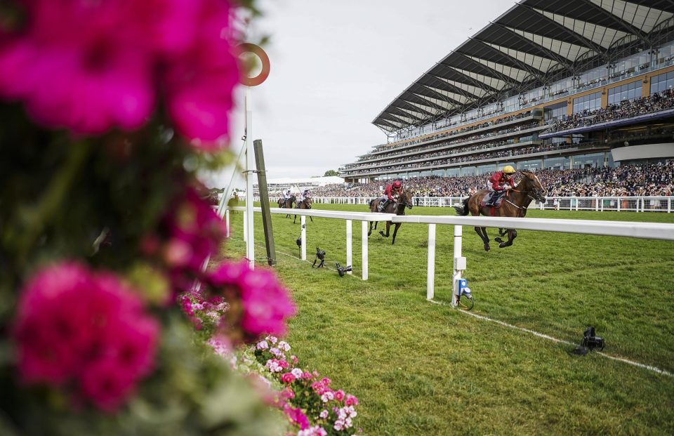  Ascot moved to Racing UK from ATR in 2014