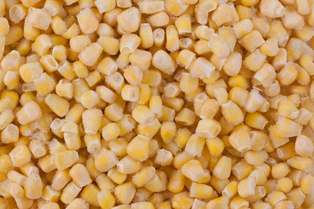 Yellow peril... frozen sweetcorn is killing people across Europe and in Britain