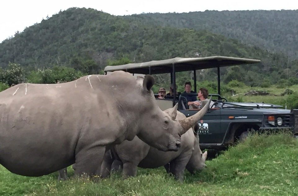  The illegal hunters (not pictured) were targeting a herd of rhinos at the game reserve