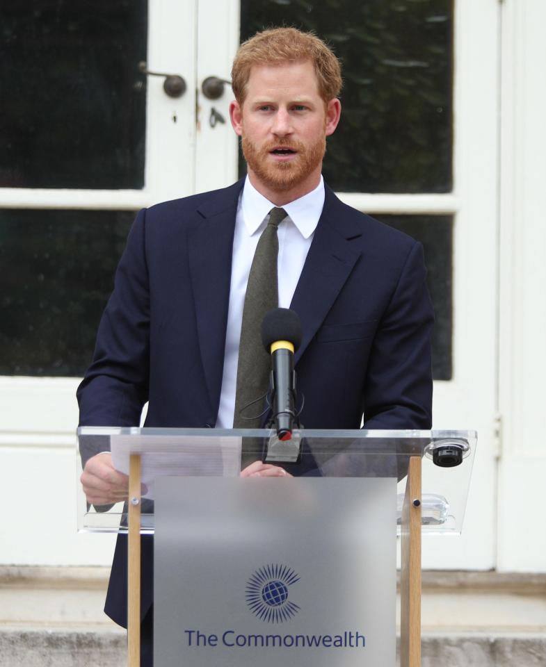  The Duke of Sussex plans on starting an exclusive library for Louis