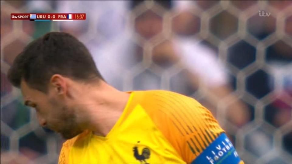  Hugo Lloris discarded of the gigantic bug in utter disbelief