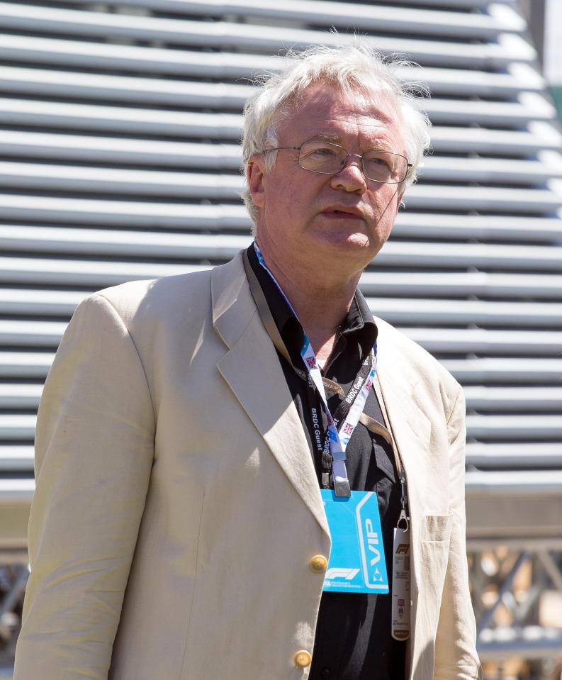  Brexit Secretary David Davis - pictured at Silverstone yesterday - wanted the PM to be tougher in her dealings with the EU