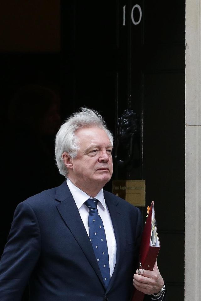  David Davis had quit his post as Brexit Secretary earlier