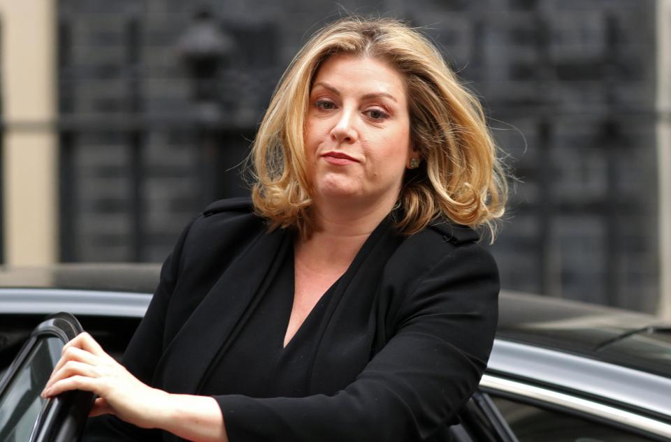  Penny Mordaunt is another Brexit-backing minister who's rallying around Mrs May