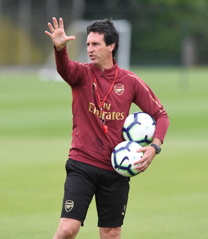  Emery is happy with his squad but may bring in one or two more signings