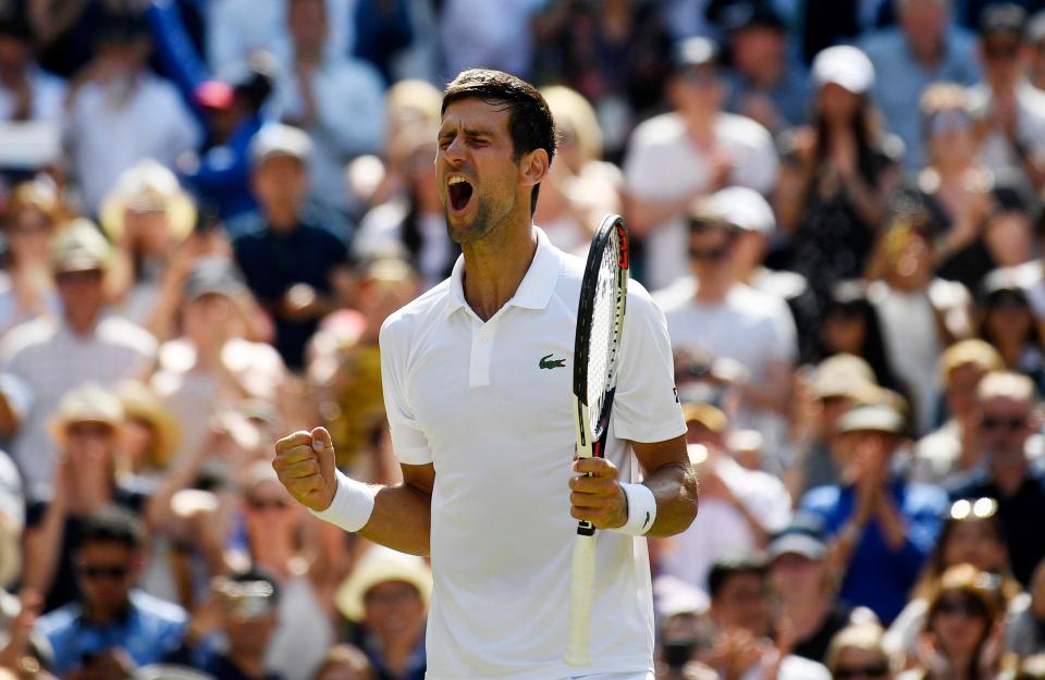 Novak Djokovic roars with delight after booking his place in the last four at Wimbledon